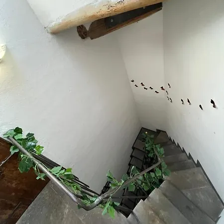 Il Magnifico Penzion