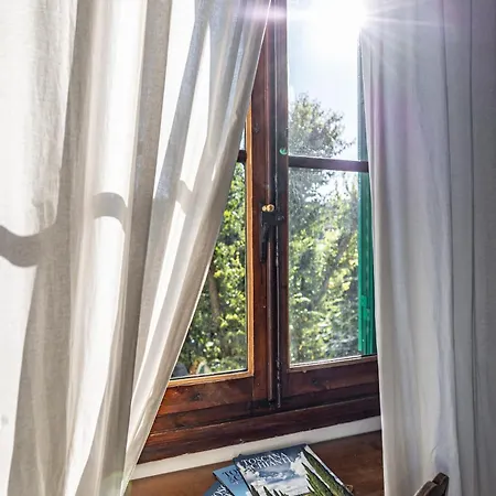 Il Magnifico Florencie
